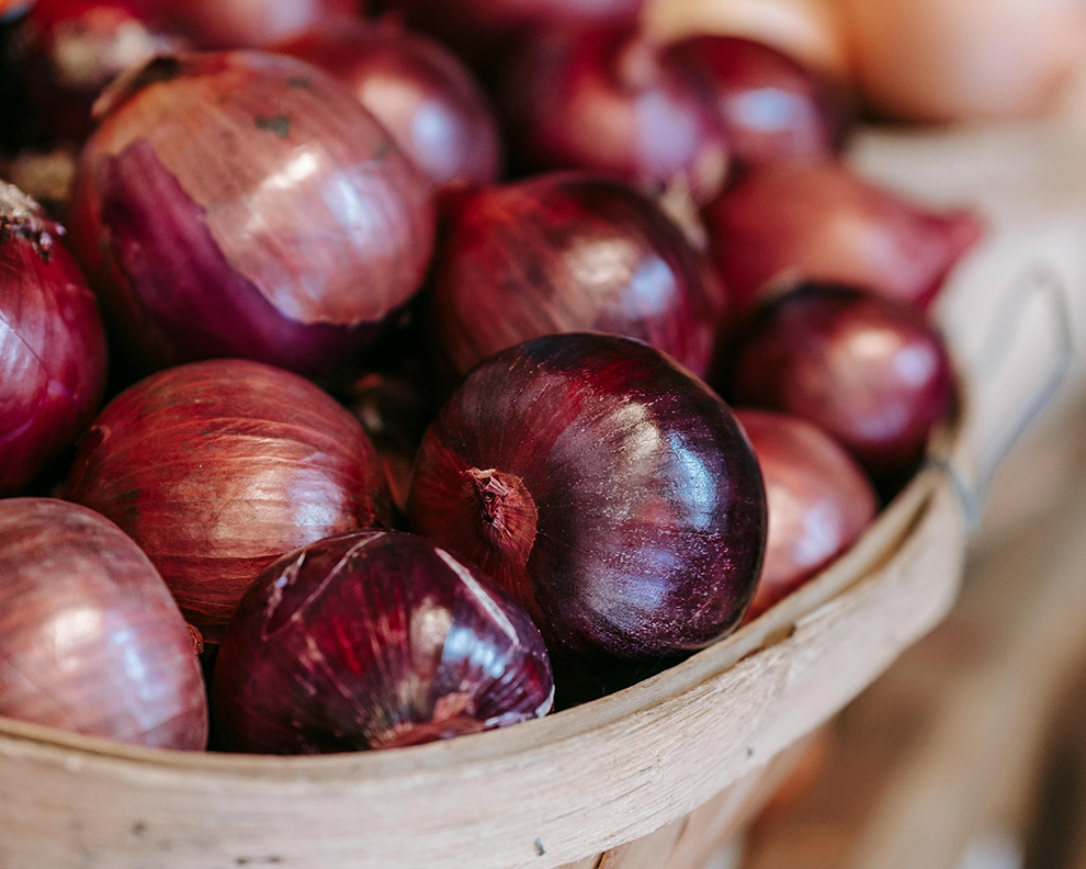 fresh onion raw material