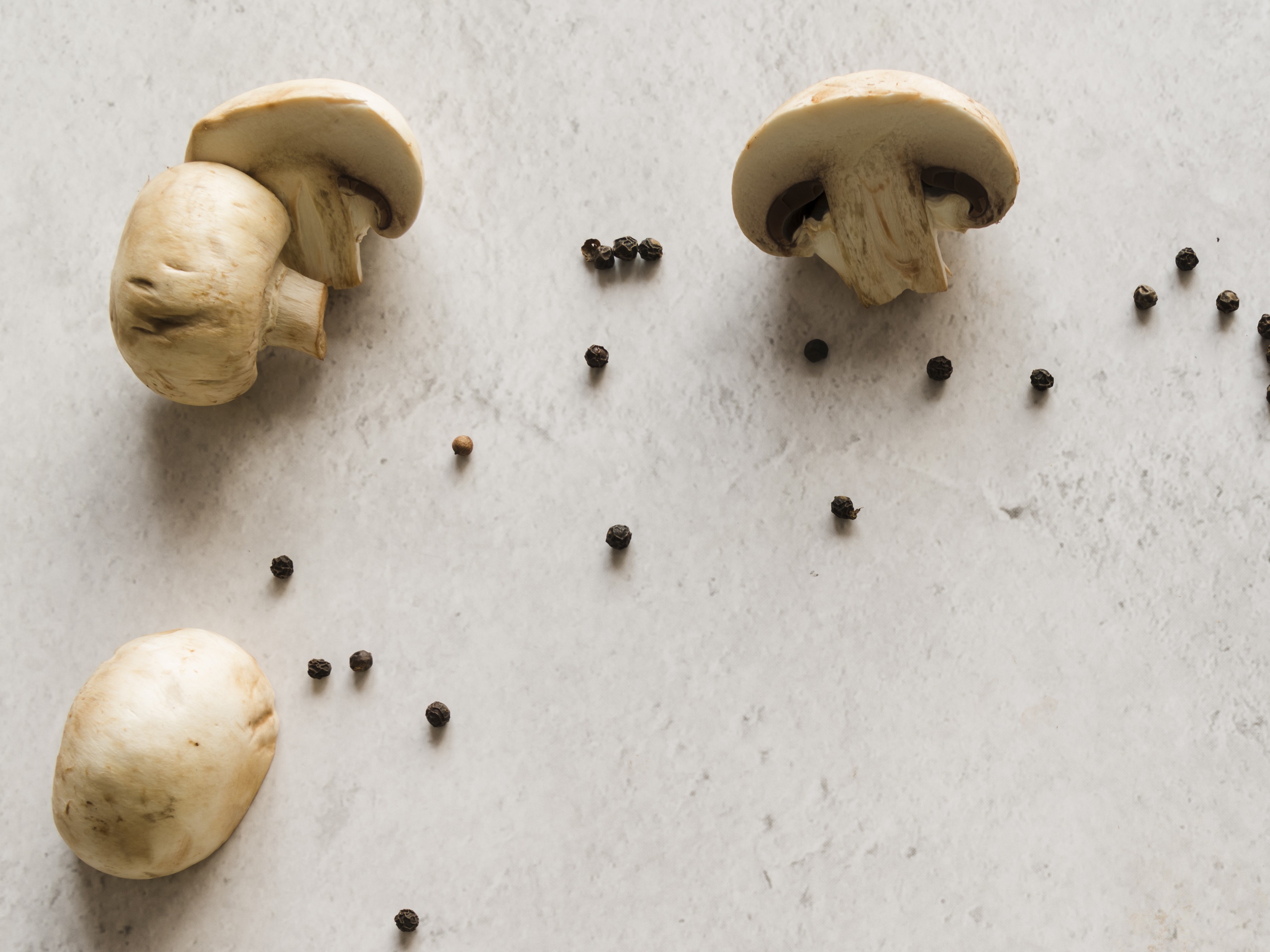 dried mushroom 4.jpg