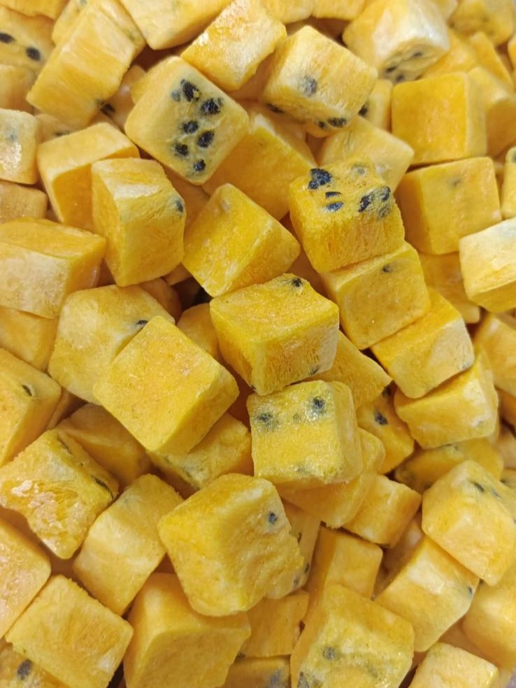 freeze dried passion fruit bulk