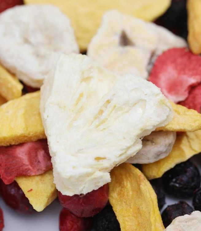 Freeze Dried Snacks: Surprising Facts You Should Know