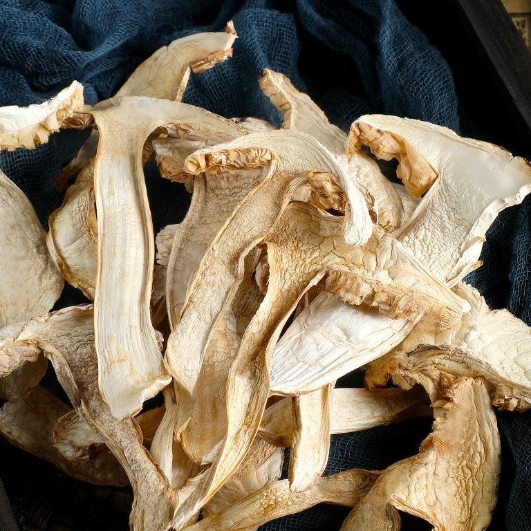 Matsutake Mushrooms