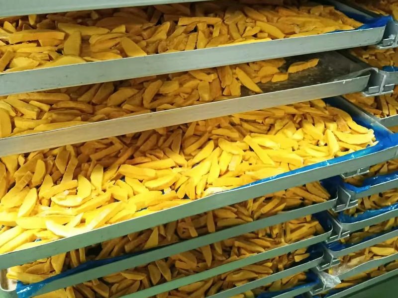 Mango freeze dried powder.jpg