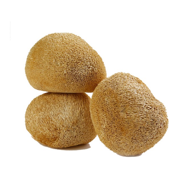 dried lions mane mushroom.jpg