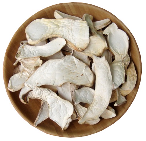 dried king oyster mushroom slices.jpg