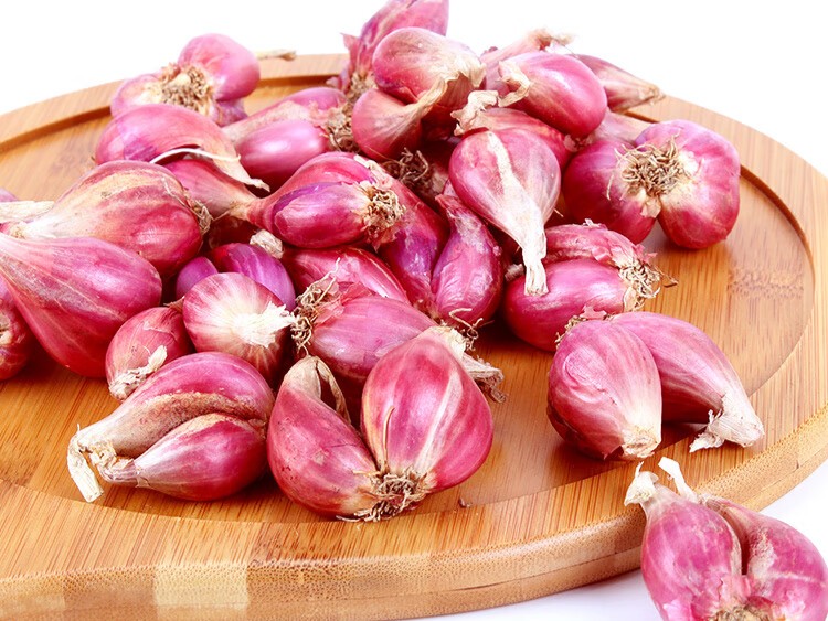 fresh shallot raw material