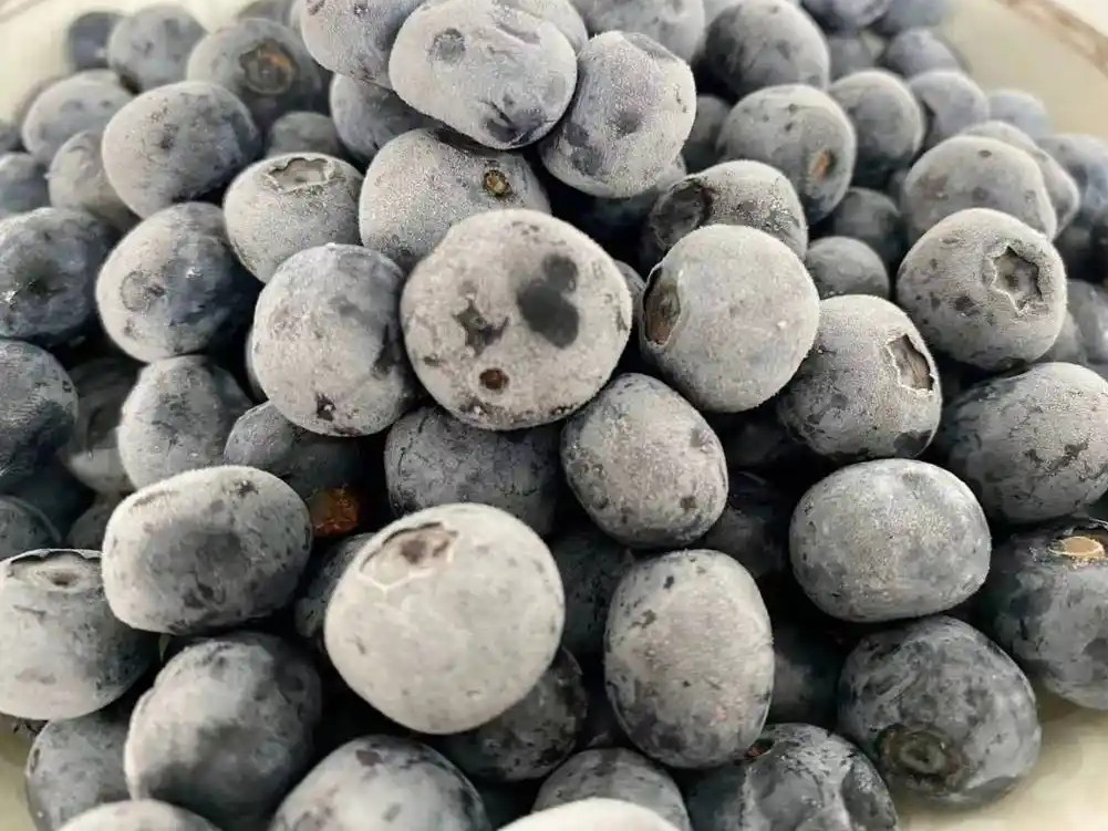 IQF whole blueberries
