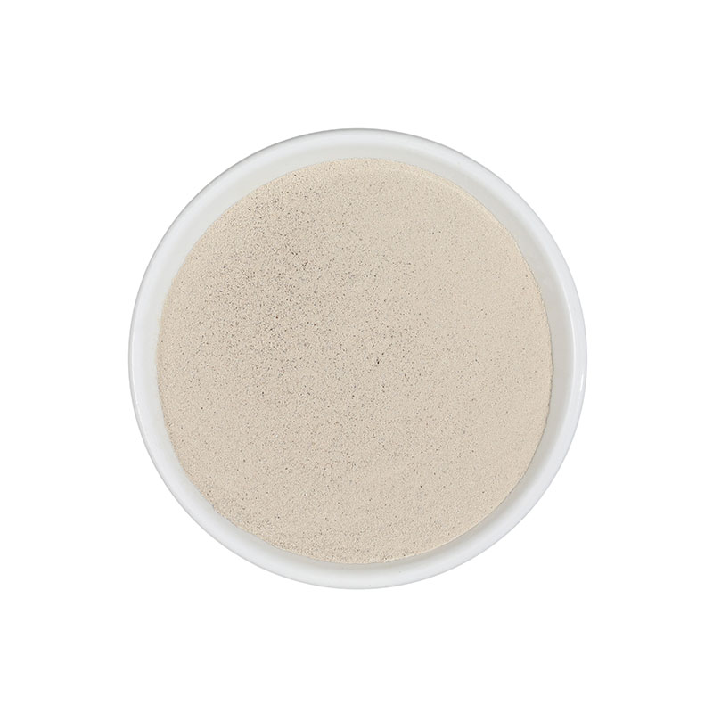 shiitake powder.jpg