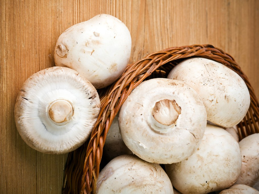 Dried Mushrooms.png