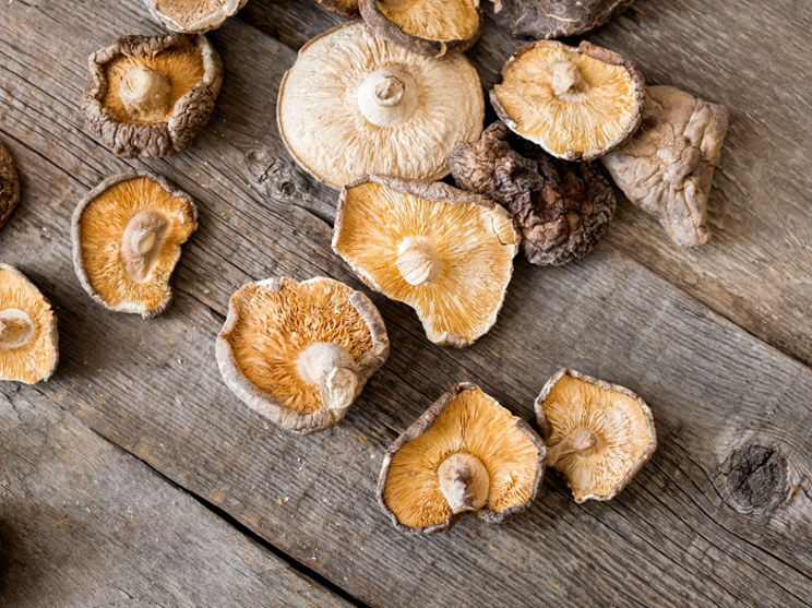 dried mushrooms.png