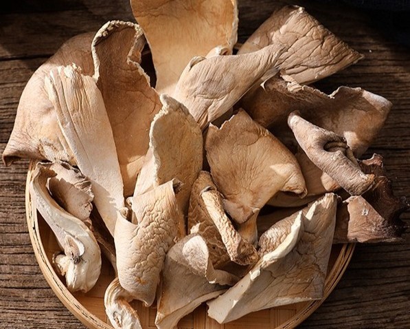 drying oyster mushrooms