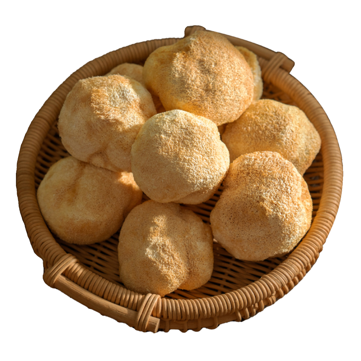 dried lions mane whole.jpg
