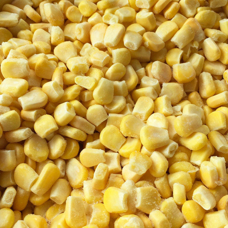 iqf frozen sweet corn.jpg