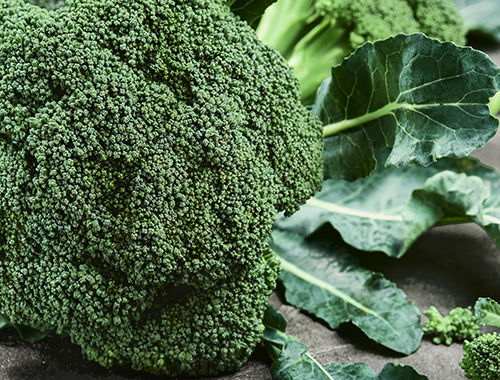 fresh-green-broccoli-healthy-food