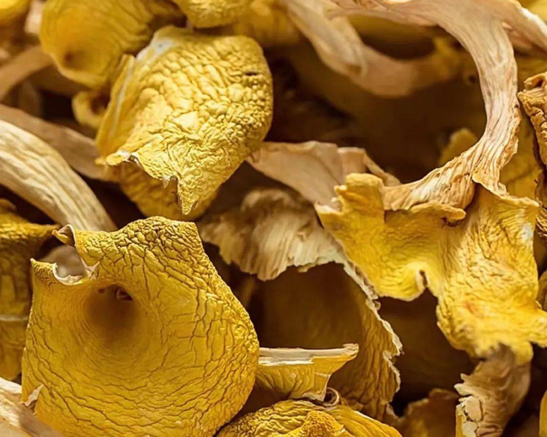 dried chanterelles mushrooms