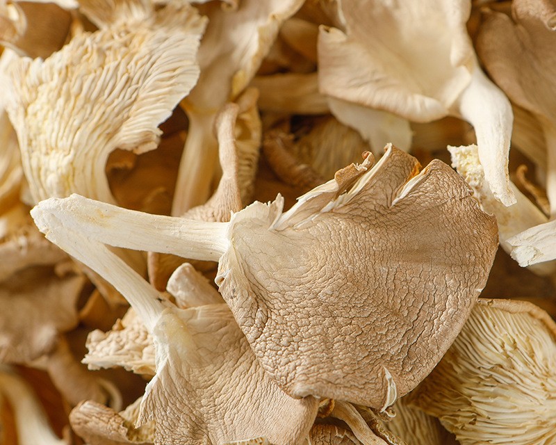 dried oyster mushrooms whole