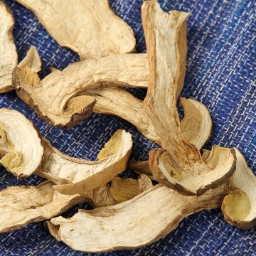 Porcini Mushrooms (Boletus Edulis)