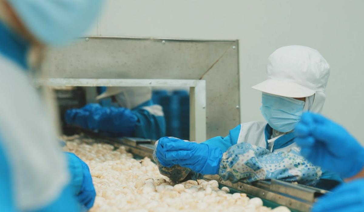 ꯁ꯭ꯃꯥꯔꯠ ꯃꯁꯛ ꯊꯣꯀꯄꯥ ꯀꯂꯆꯔ.jpg