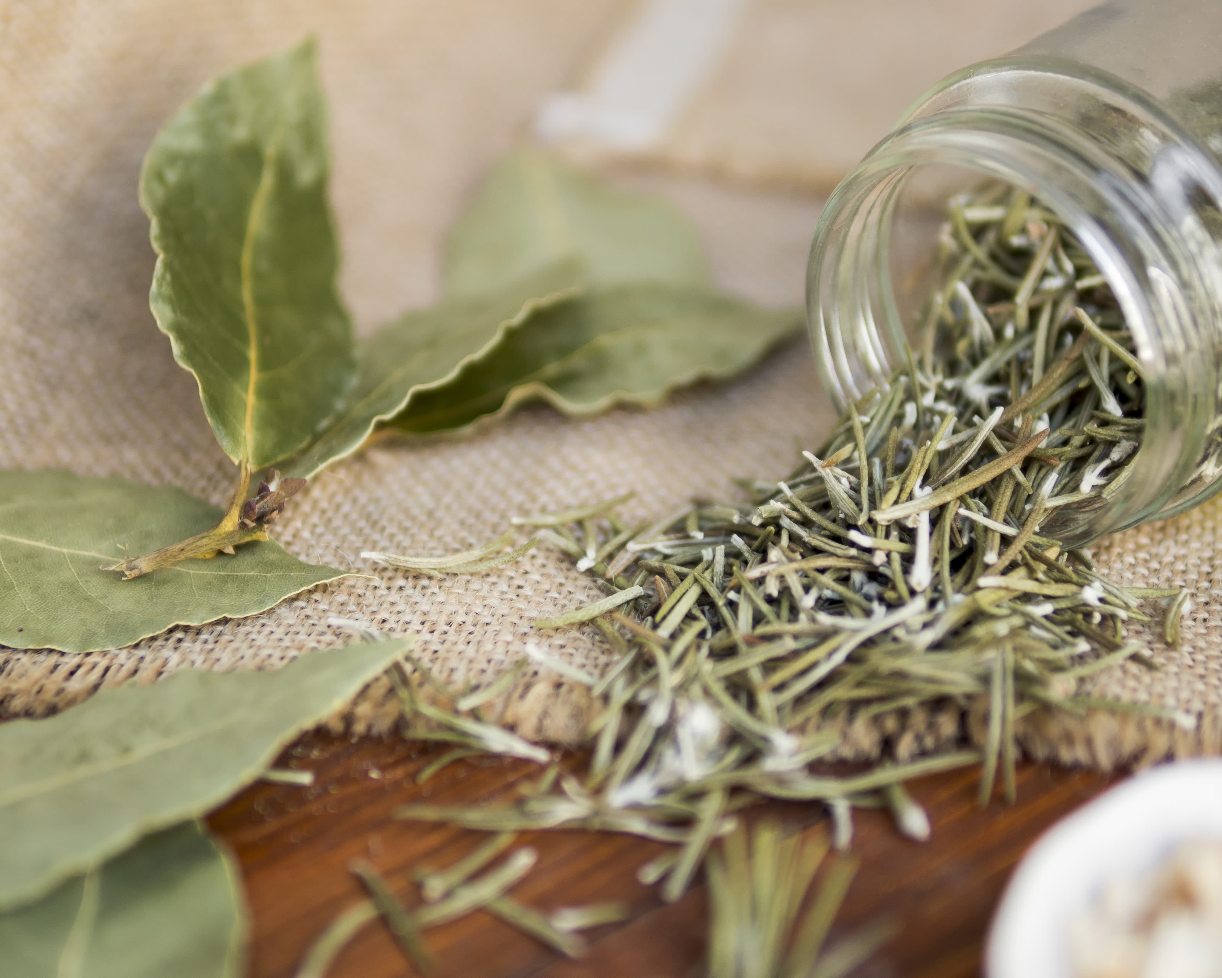 dry-leaves-coming-out-from-fallen-jar_compressed