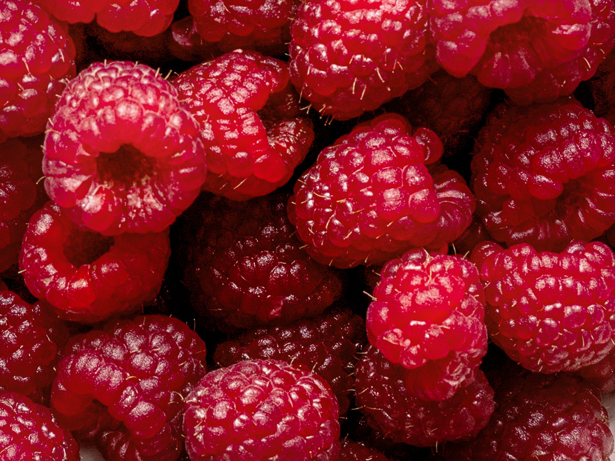 fresh-raspberries raw material