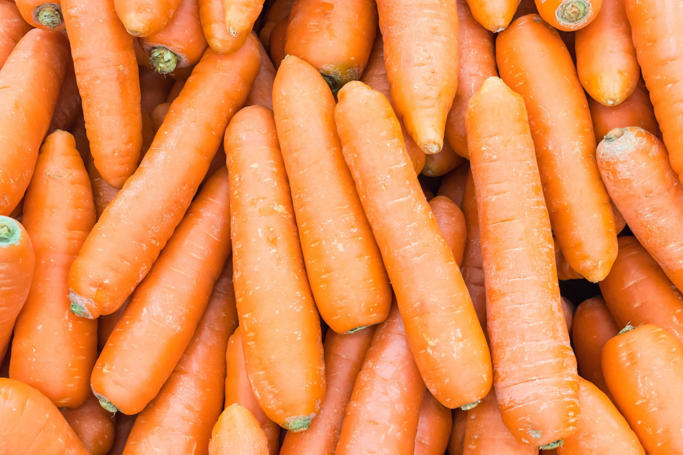 fresh carrot