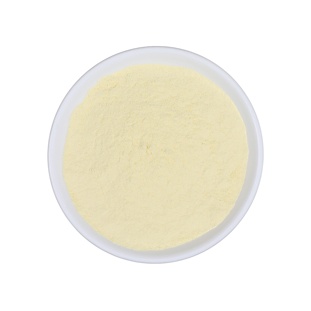 drum dried sweet corn powder.jpg
