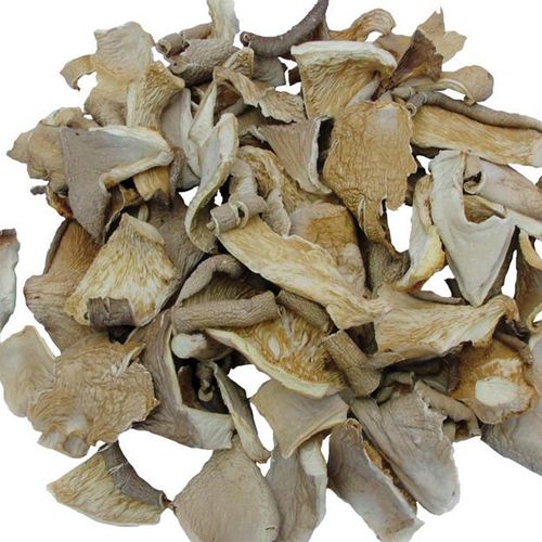 dried oyster mushrooms wholesale.jpeg