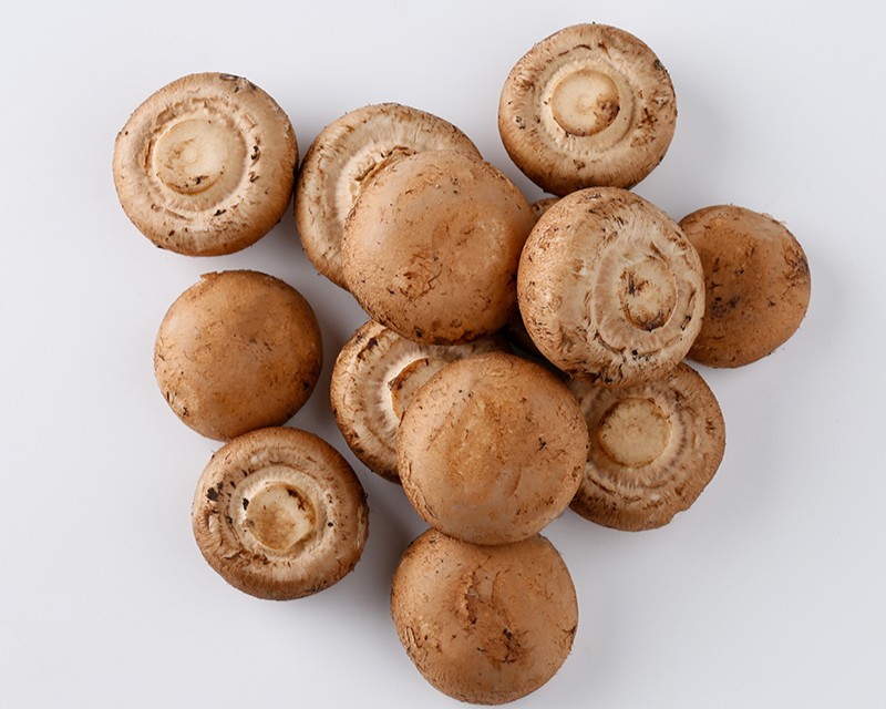 fresh Portabella mushroom