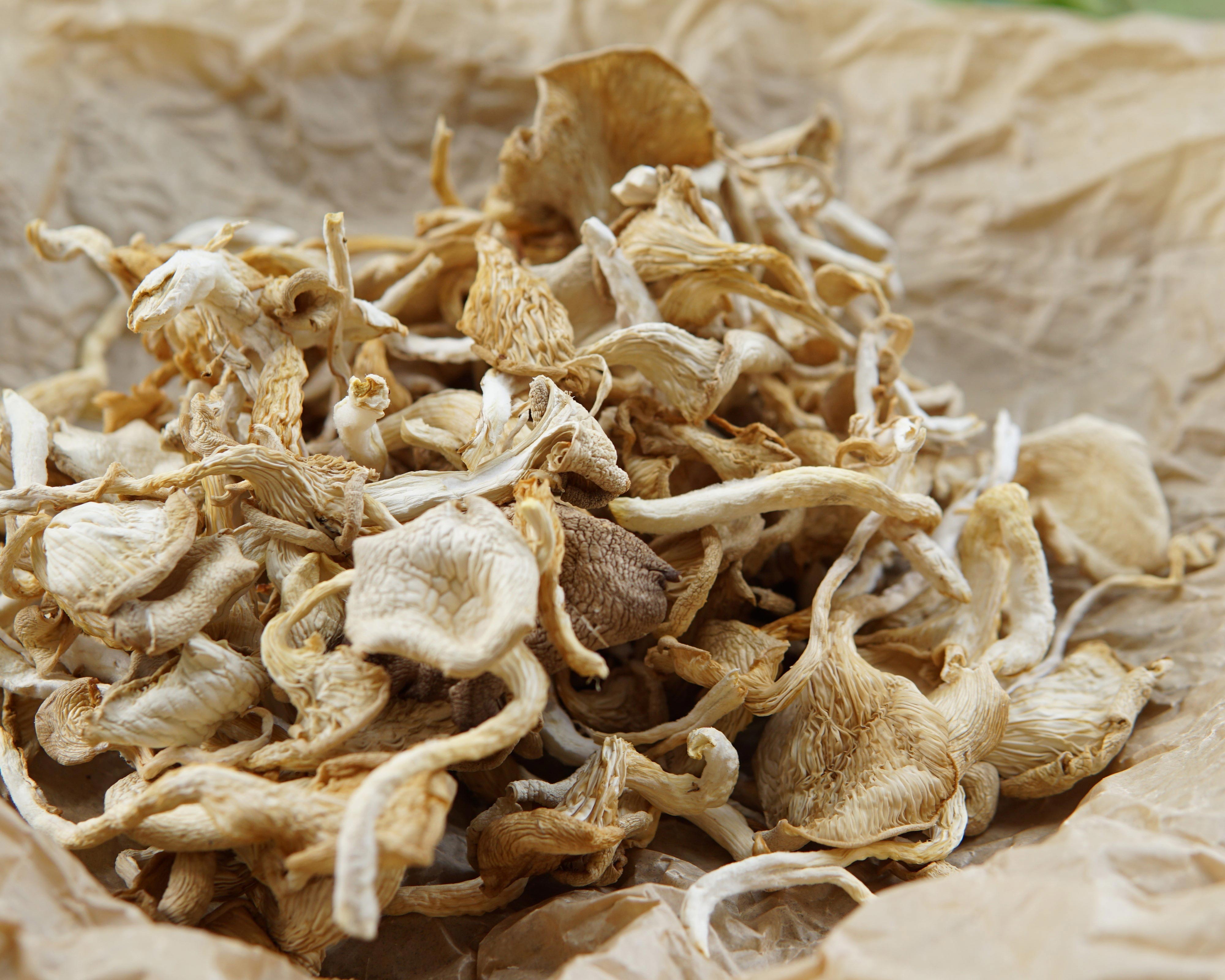air dried oyster mushrooms