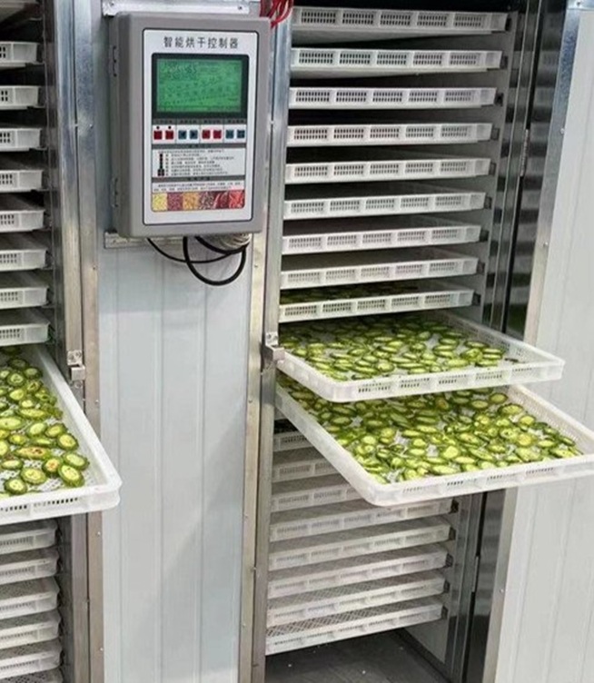 Adakah Pengering Makanan Sama seperti Pengering Beku?