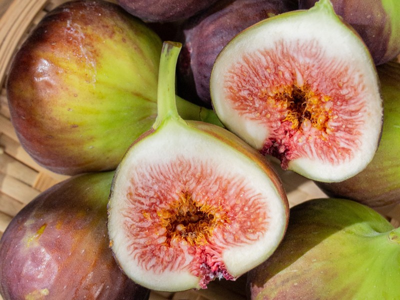 fresh figs