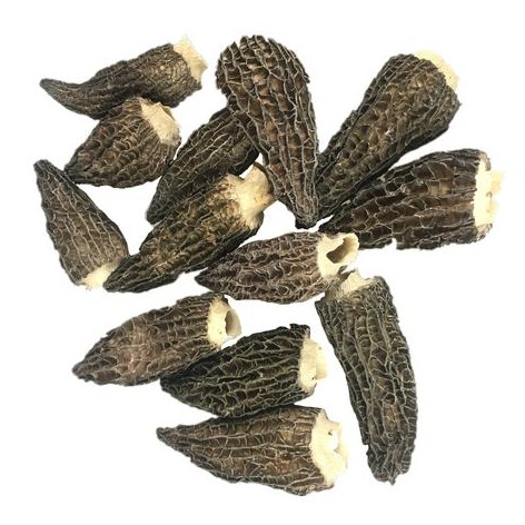 wholesale dried morel mushrooms.jpeg