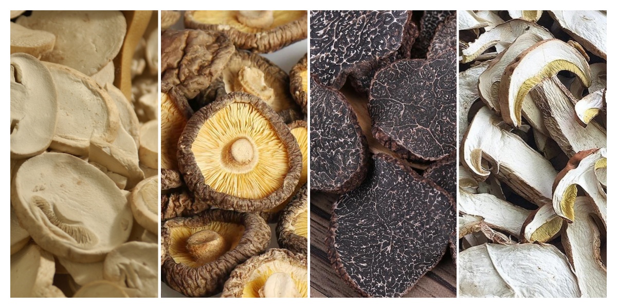 ꯱꯰ ꯀꯃꯟ ꯗ꯭ꯔꯥꯏꯗ ꯃꯁꯛ.jpg