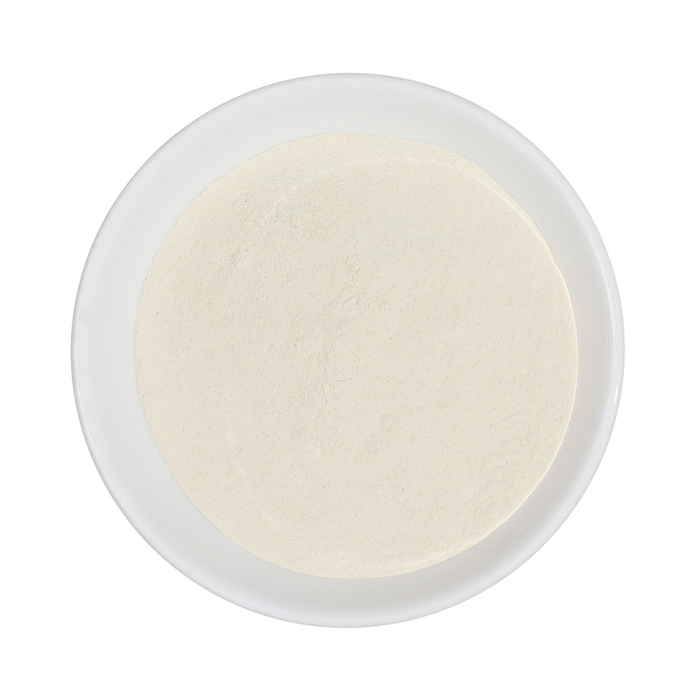 freeze dried onion powder.jpg