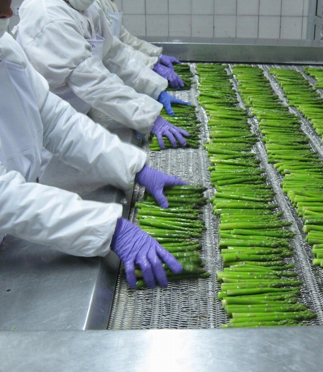 Apakah yang dimaksudkan dengan IQF dalam Makanan?