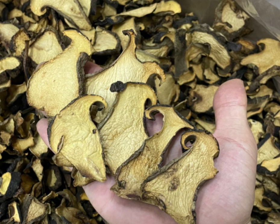 dried Boletus aereus mushrooms