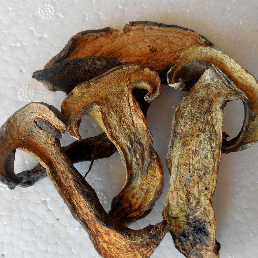 dried Black Boletus slices.jpg