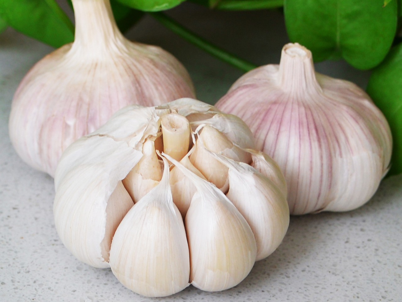 Cengkih Bawang Putih.jpg