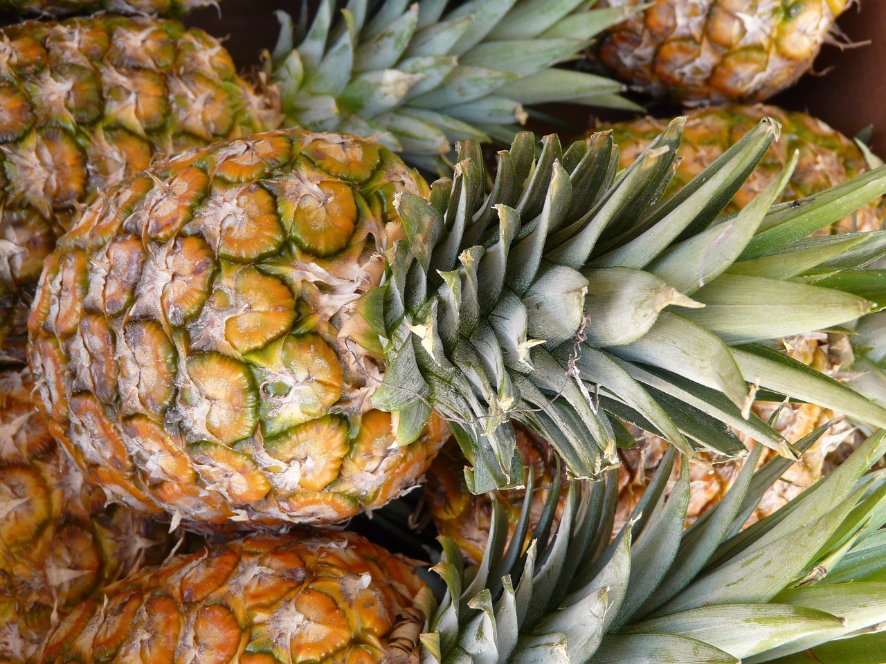 delicious-pineapple-raw-metrial