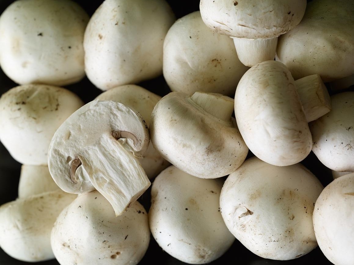 White Button Mushroom 1.jpg