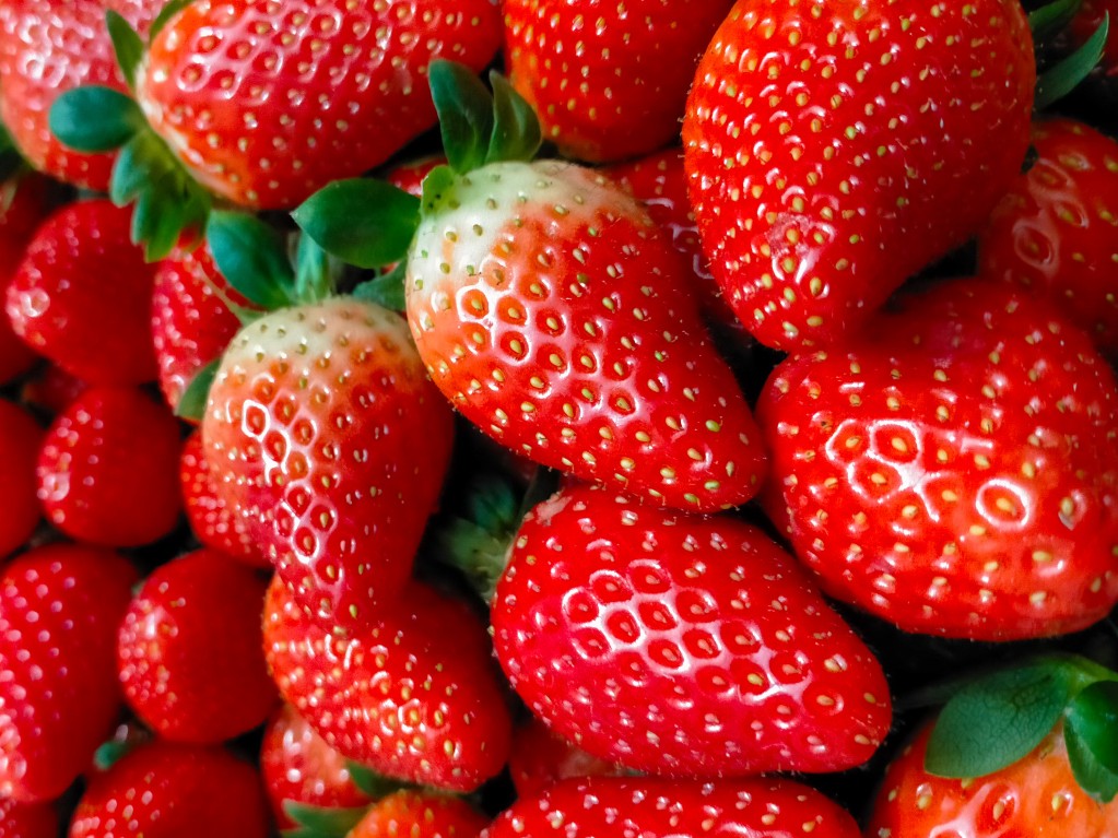 iqf strawberries raw material