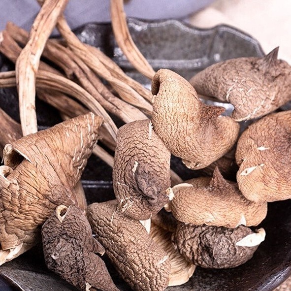 Termite Mushrooms