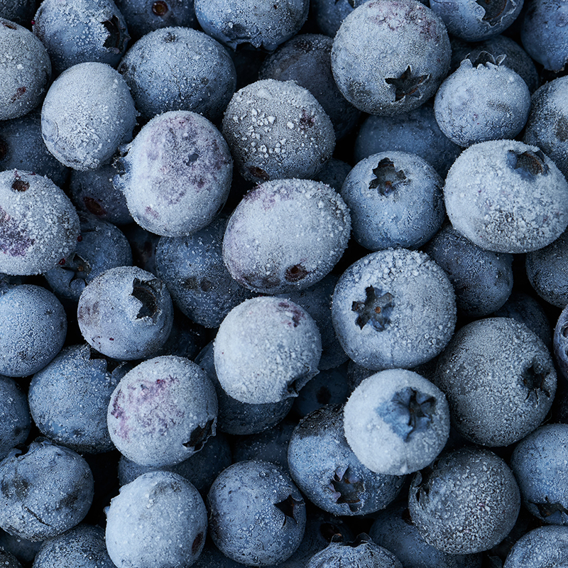 IQF Blueberry