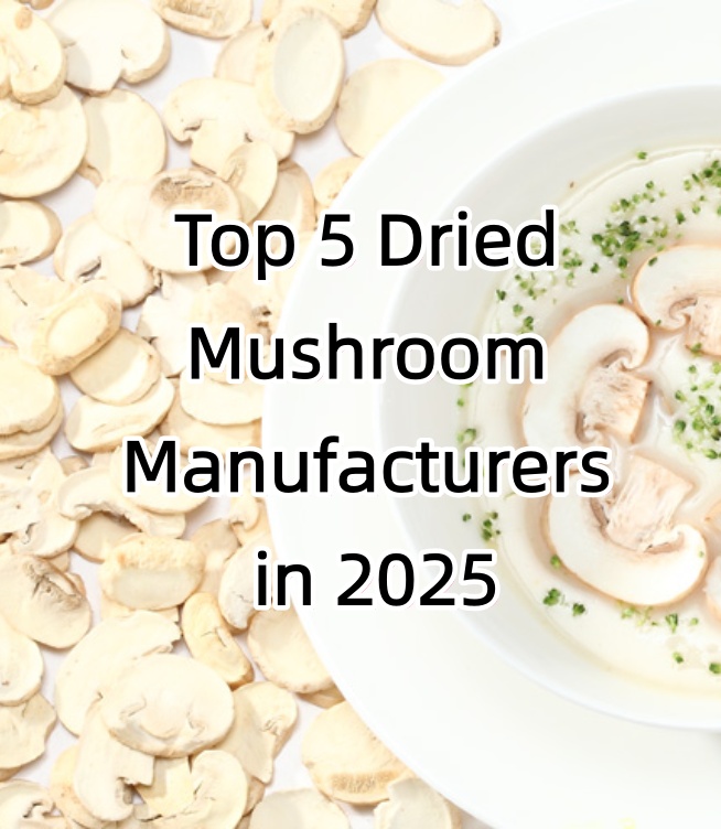 5 Pengilang Cendawan Kering Terbaik pada Tahun 2025