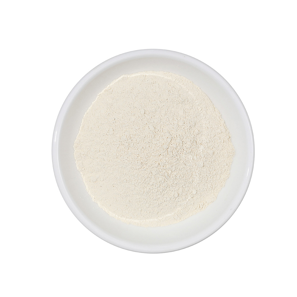 air dried dehydrated garlic 100-120 mesh.jpg