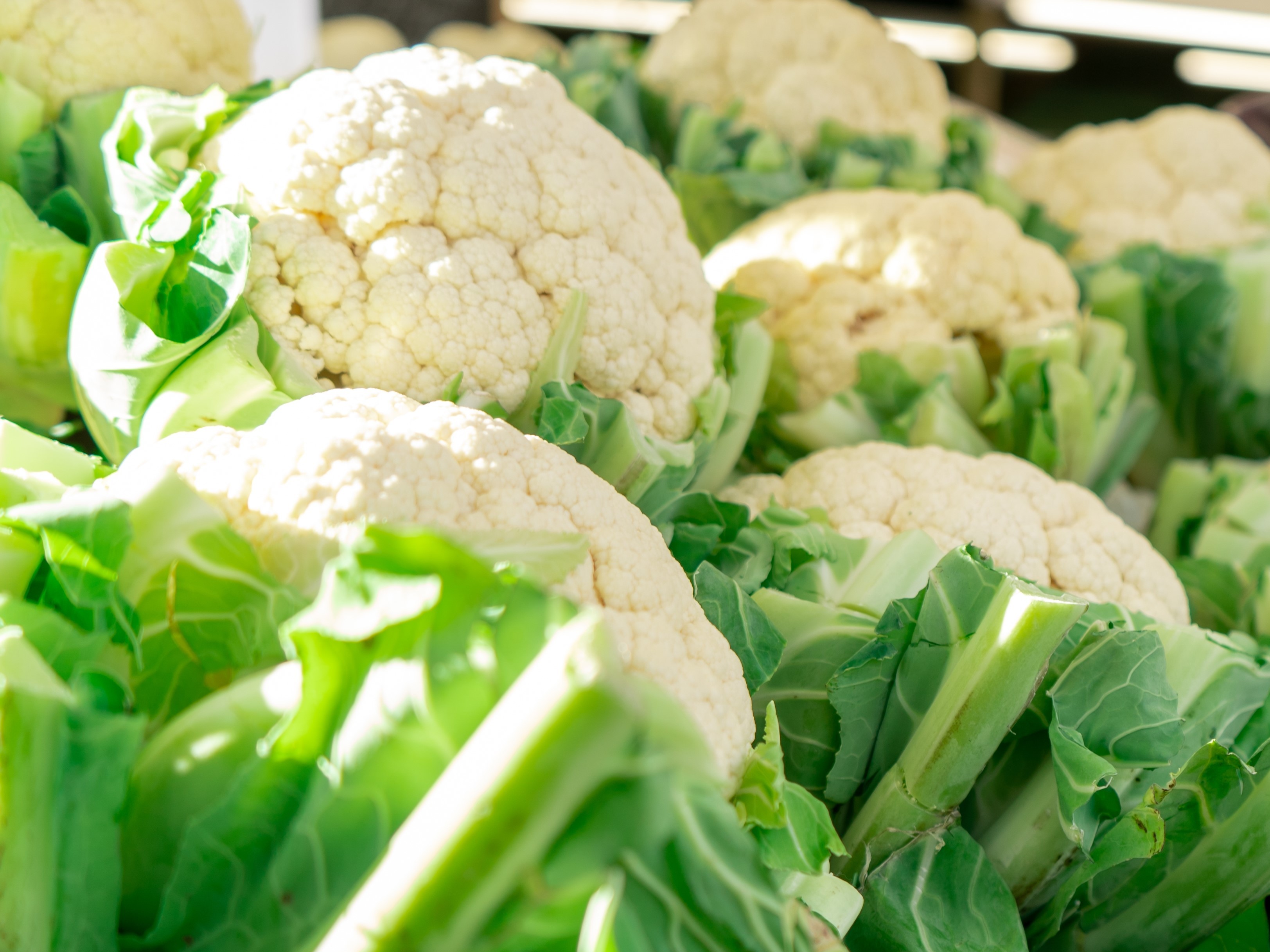 fresh-cauliflower-arranged-