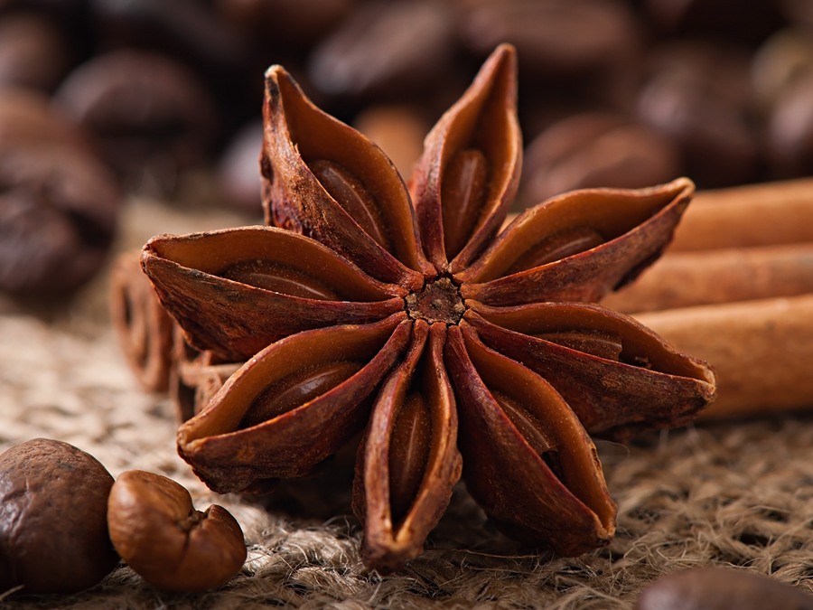 Star Anise.png