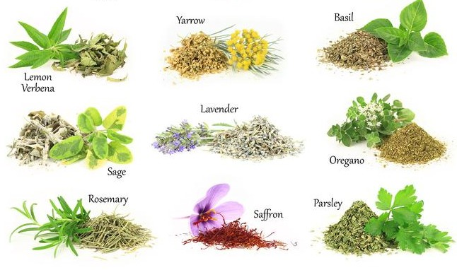 Fresh vs. Dried Herbs.png