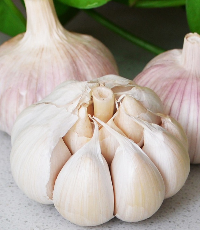 Apakah Seulas Bawang Putih?