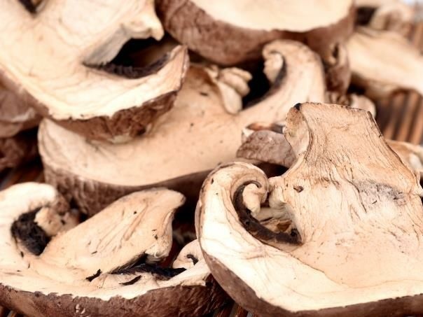 dried Portabella mushroom