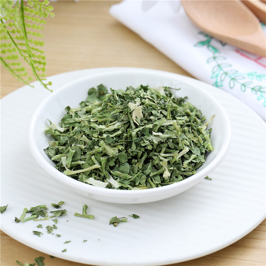 Cilantro